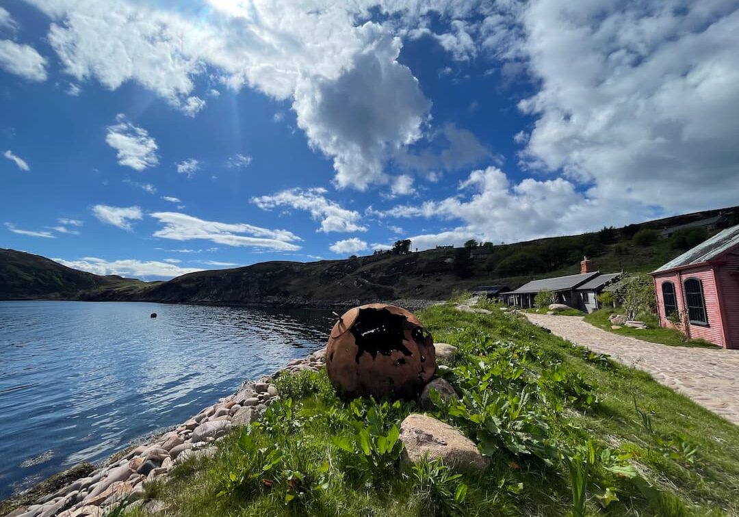 20230511_140447234_iOS (1)